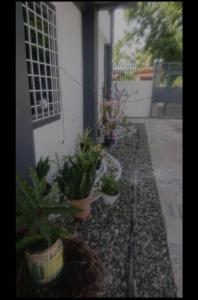 Lenz best staycation PH