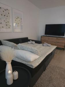 Apartment Vartiokatu