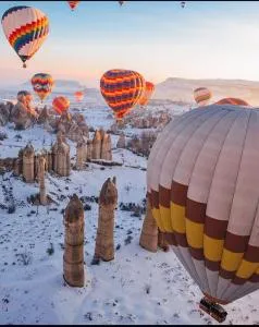 Gümüş Hotel - 奥塔希萨尔