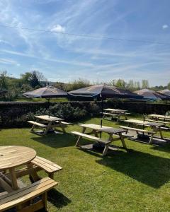 The Royal Oak