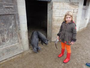 Domaine du Bas Chalus