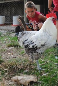 Domaine du Bas Chalus