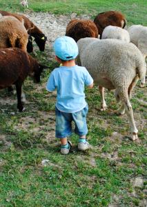 Sejours a la ferme Domaine du Bas Chalus : photos des chambres