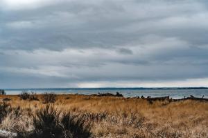 Oceans3 - Spectacular View N Jetty Access