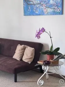 Tico Experience in a Family-Friendly Neighborhood - Hatillo