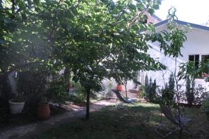 Sejours chez l'habitant Toulousaine arboree - parking public : photos des chambres