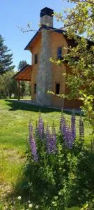 Vista al Piltriquitron - Golondrinas