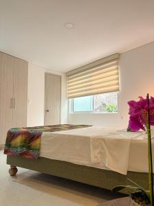 Orquídea Nuevo y exclusivo loft