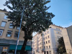 Fabio Haus Trieste