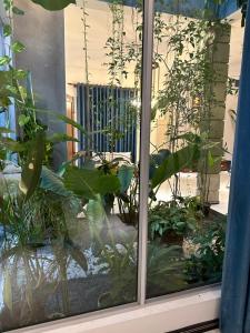 The Green Heaven Villa