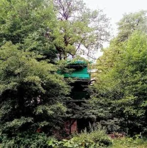 Abastumani 3 - 阿巴斯图马尼