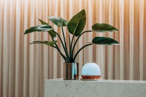 Clarion Hotel Townsville