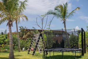 Soul Paje Managed by TOC