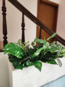 Homestay 6br 12A Ly Nam De