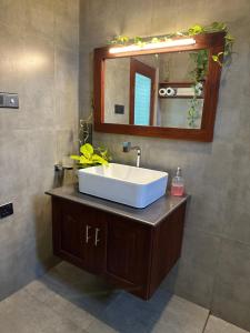 The Green Haven Villa