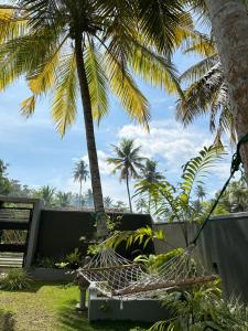 The Green Haven Villa