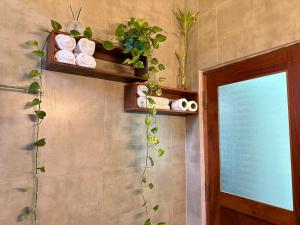 The Green Haven Villa