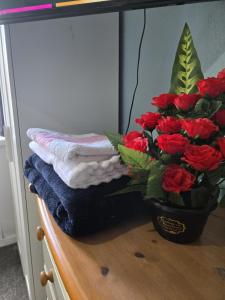 A cosy room with a king-sized bed & Netflix TV