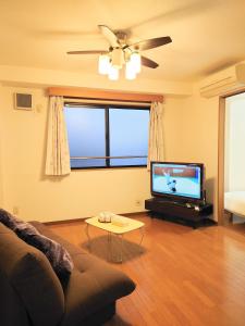 honeys guest house elevator , wash machine, huge closet space, private bathroom, walk to skytree in 10 minutes