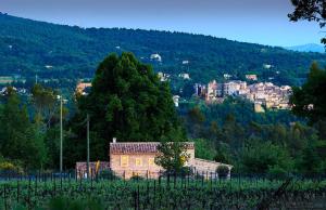 Villas La Bergerie du Ravin : photos des chambres
