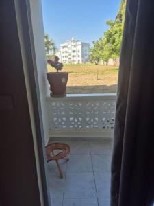 Daffi giraffi House