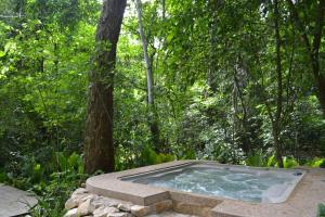 Hotel Jungle Lodge Tikal