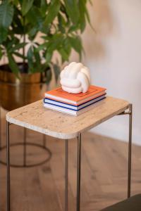 Designer flat with character