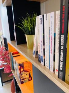 Appartements Le Cocoja, Beau T2 - Saint Jacques de la Lande : photos des chambres