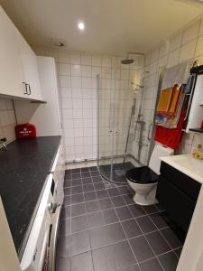 A Tiny House in Norrby