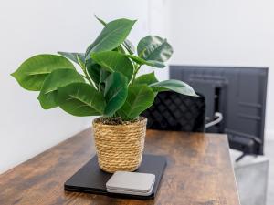 Abdiel 3 Spacious Apt by Hartlepool Marina Relax Unwind - Pass the Keys