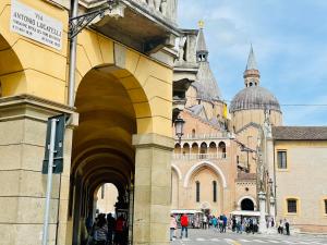 Locatelli Apartments - Patio Living "Cordyline"