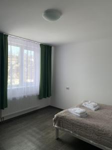 Серце Карпат