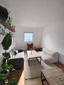 Cocon au cœur de Paris