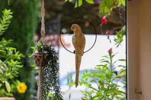 Hotels Hotel La Villa Sainte Valerie Adults Only : photos des chambres