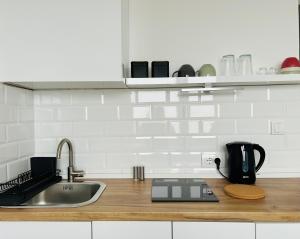 Cosy and Chic Apartment in Dorćol Old Town