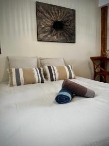 Appartements Studio centre historique - climatise : photos des chambres