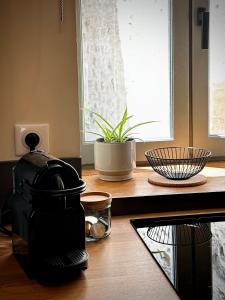 Appartements Studio centre historique - climatise : photos des chambres