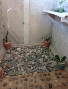 Vanista Dica- Dancing Bamboo