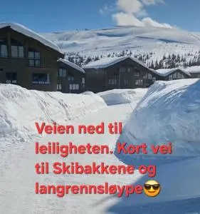 Ski in Ski out Trysil in the mountain of Norway 50m from the Slopes - Jordet i Trysil