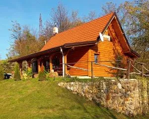 Kuca za odmor - 维特兹