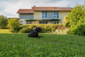 Ferienhaus Beim Viechdoktor
