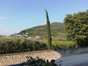 CASA degli OLIVI GARDA LAKE