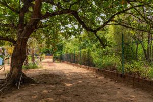 Palmeiral -BeachCottages