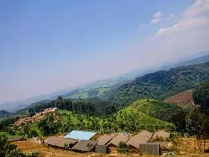 NYUNGWE VILLAGE - Butare