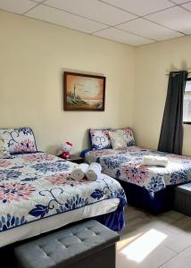 Bambú Family House, AC, WiFi, near Metrocentro Mall