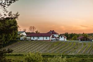 Winnica Zagrody-Stanislaw Majkut