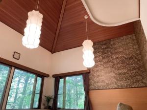 シュネール北軽井沢 150平米の贅沢空間 北欧サウナ 任天堂Switch BBQ ドッグラン