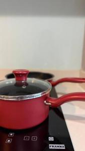 Luxurious Downtown Apartment