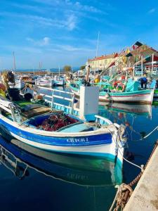 "Le Cocon Bleu" Résidence avec Piscine au Coeur du Brusc
