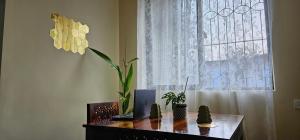 Ella Goa Home Stay